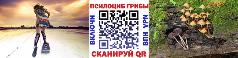 Псилоцибиновые грибы мицелий  Купить  Шахты 